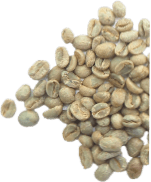 green coffee extract