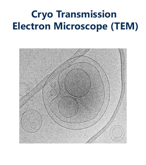Liposome TEM