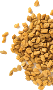 AlphaFen