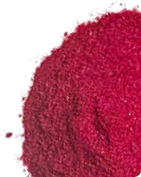 MitoHeal2